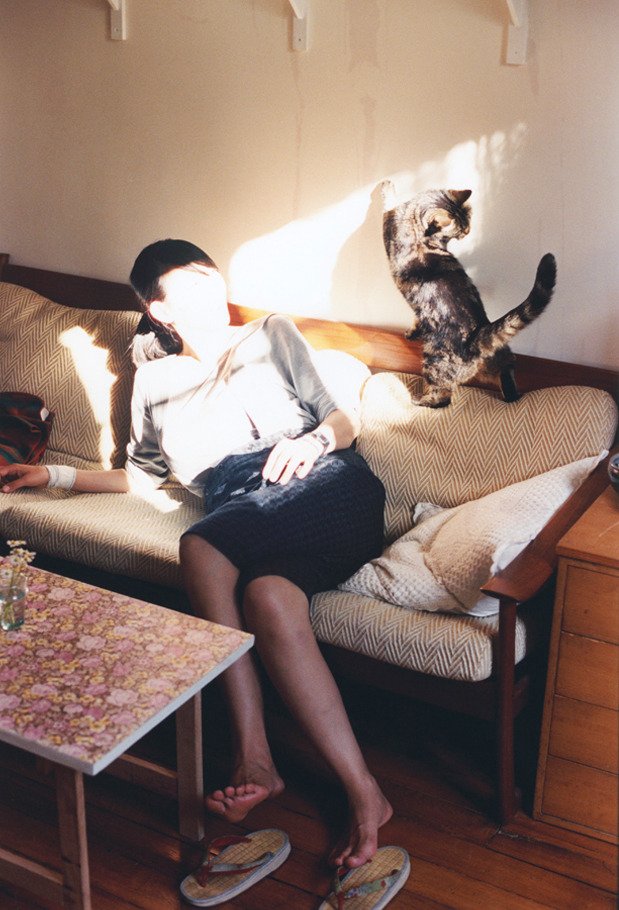 _60秒极速赛车:速度之王的角逐_,极速60秒车型