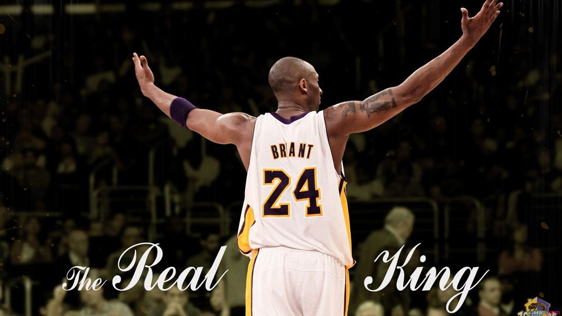 西亚卡姆表示进攻端更加注重决策质量，西亚卡姆潜力大不大