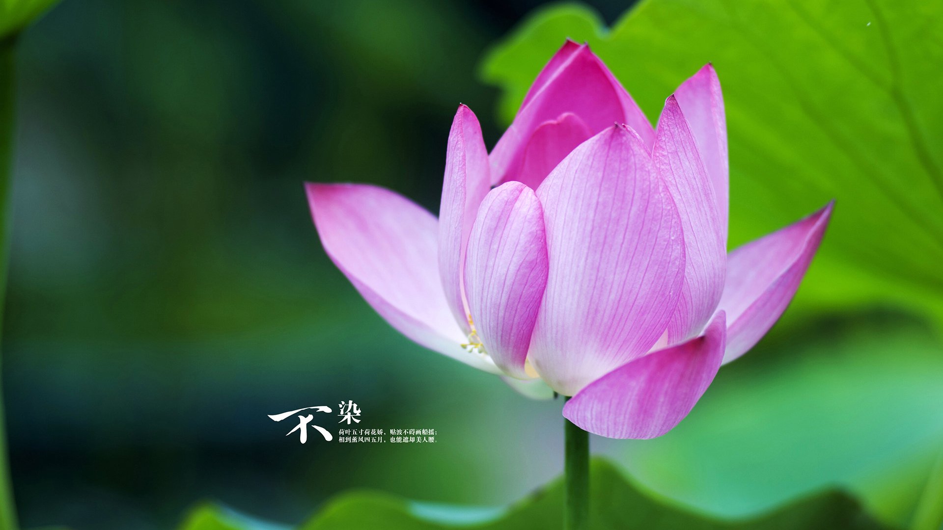 _户外水上漂流:自然探险的极致体验_,水上户外用品