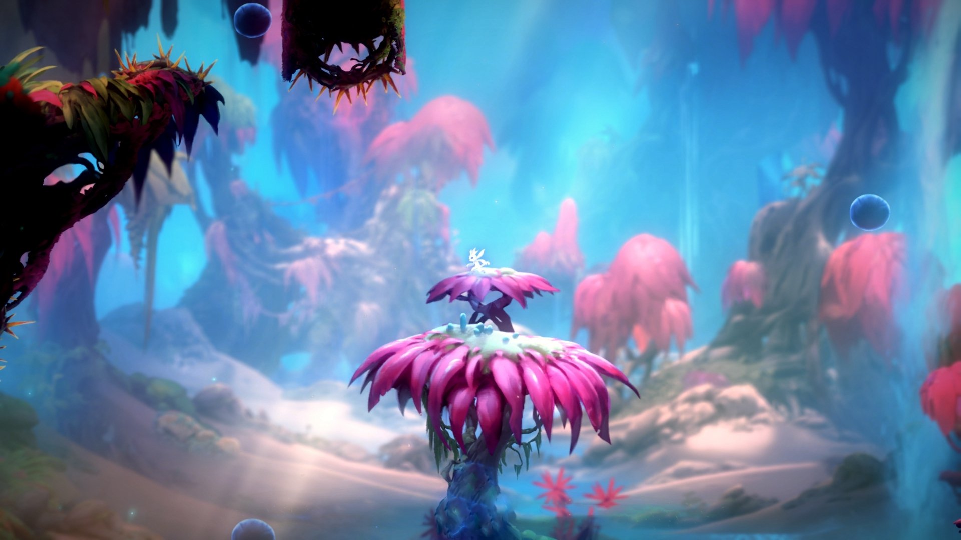 爱游戏体育账号注册-“球队文化:冠军军团的团队精神和文化”,冠军团队是什么