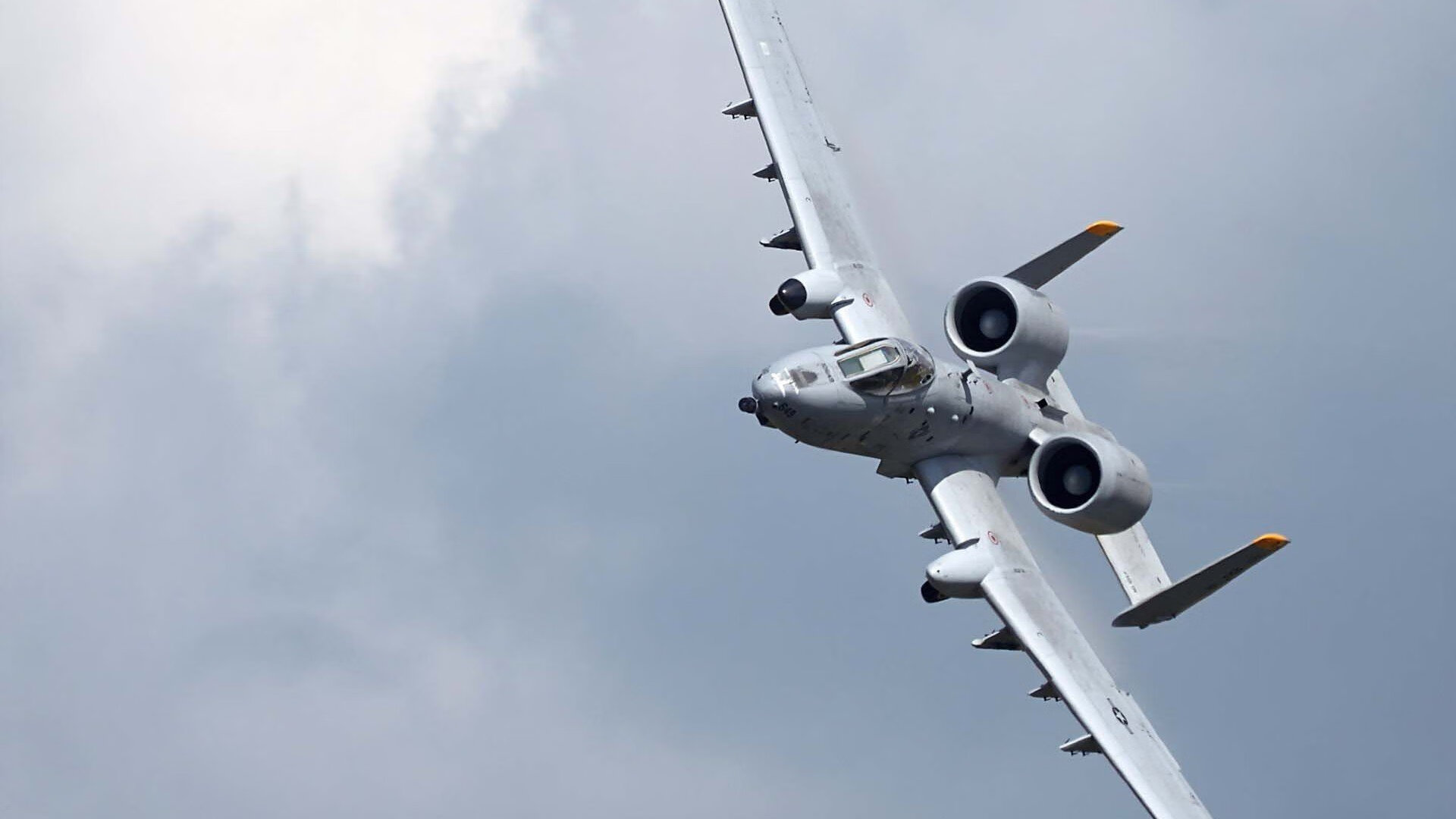 “血脉喷张:荒野追逐赛段中的生与死”