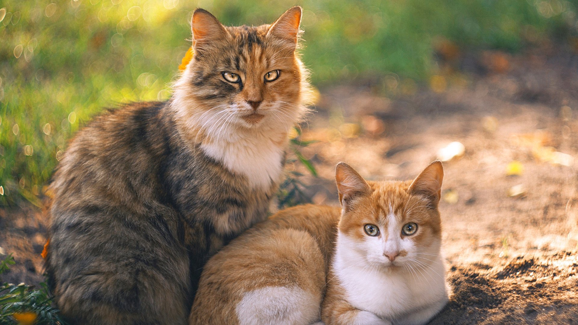 中国足球为亚运会选拔最强阵容，中国足球为亚运会选拔最强阵容是谁