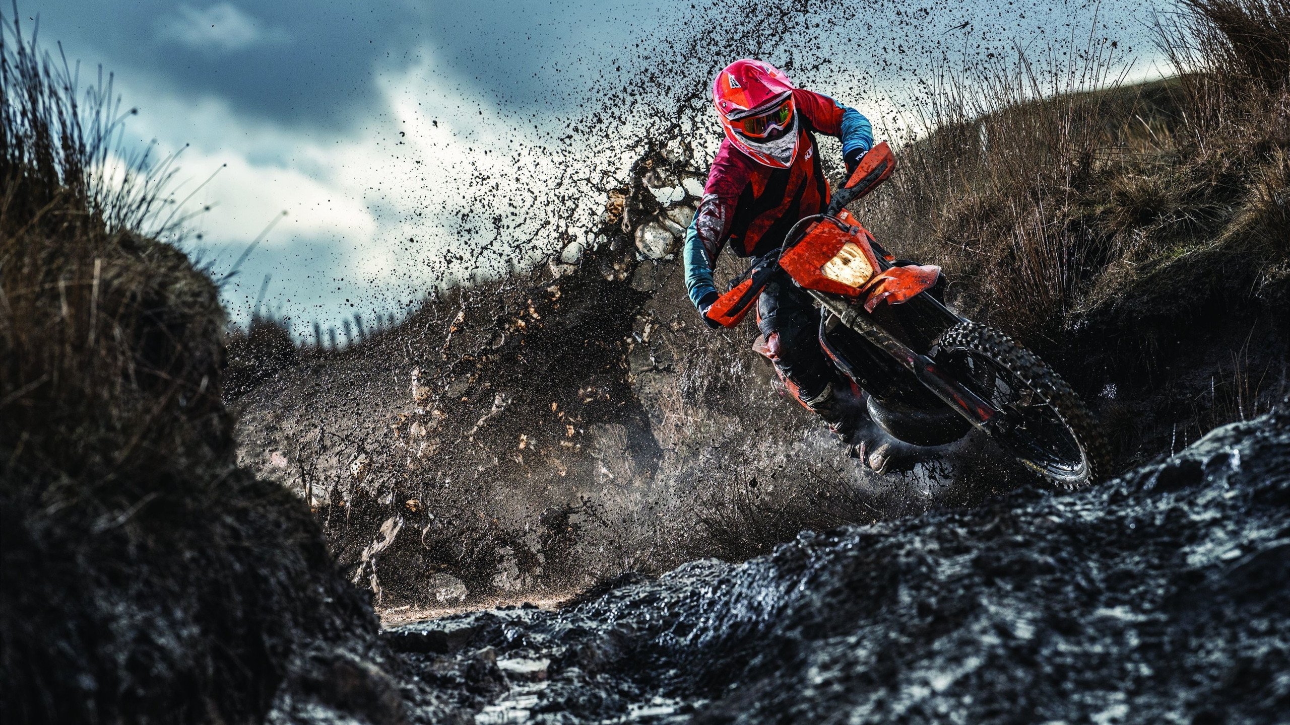 爱游戏网址登录-维尔·冯·威克：南非队锋线的猛将，不断给对方防线带来威胁，维尔纳冯西门子简介